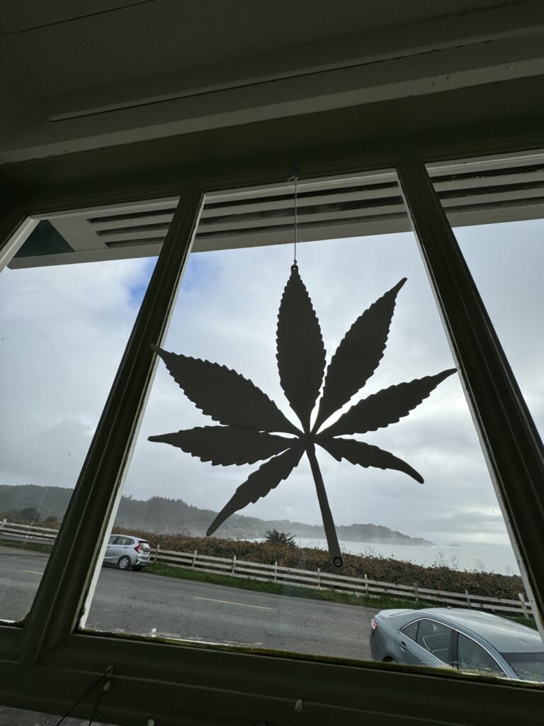 A cannabis leaf shape in the window at Sol de Mendocino.