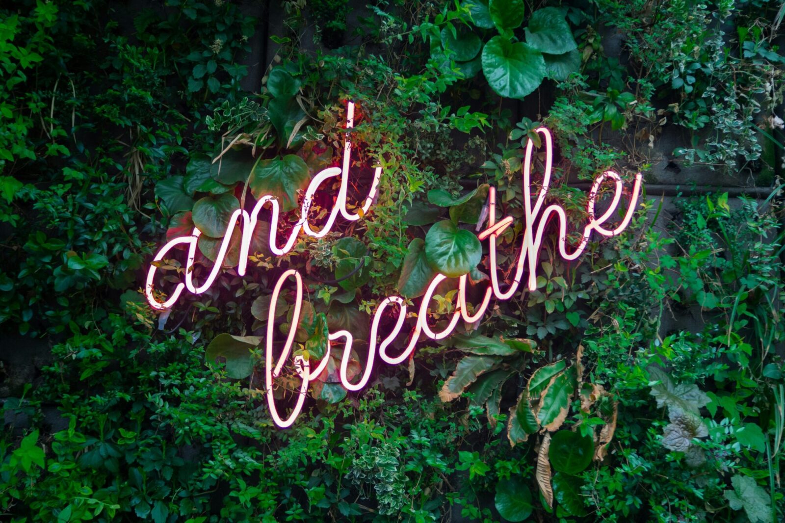 The words "and breathe" in pink neon lights on a green botanical background.